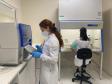 Paraná integra rede nacional de pesquisa genômica do novo coronavírus