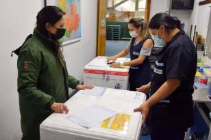 Estado envia mais 671 mil doses de vacinas contra a Covid-19 aos municípios