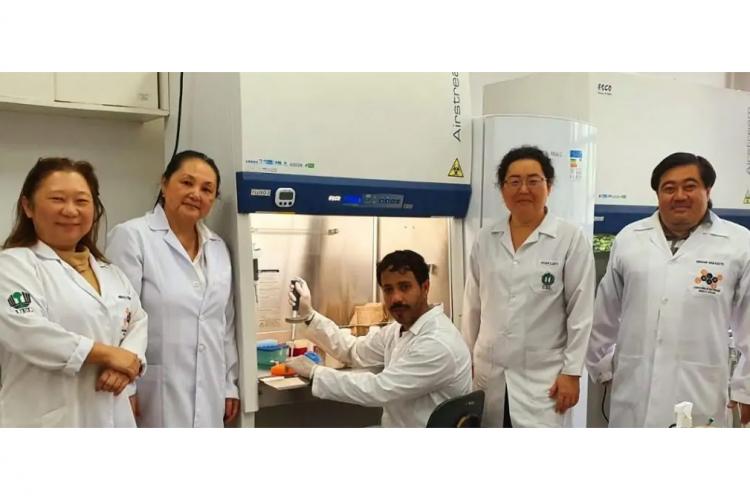 Pesquisa aponta que antibiótico desenvolvido com óleo de copaíba apresenta menor toxicidade