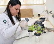 Mestranda do Programa de Pós-graduação em Agronomia, Ana Cristina Preisler, teve artigo científico sobre a pesquisa publicado na revista Pest Management Science
