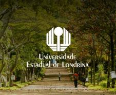 Universidades estaduais oferecem oportunidades de intercâmbio em 4 continentes