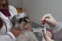Em parceria com ABHV, Tecpar certifica hospitais, clínicas e centros veterinários