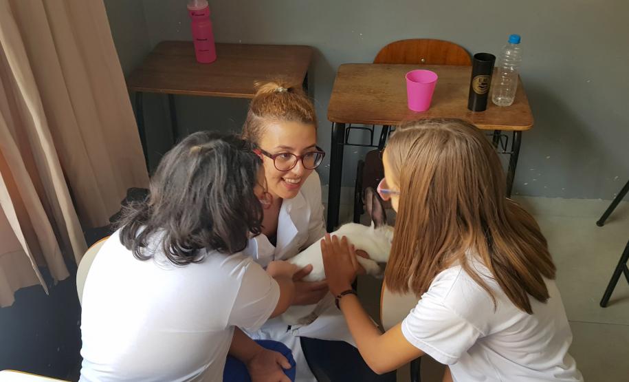 Projeto terapêutico da UENP com animais ajuda na socialização de crianças e adultos