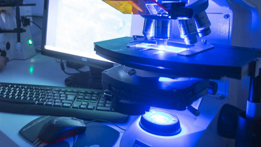UEM receberá investimento de R$ 954 mil em 29 projetos de pesquisa científica