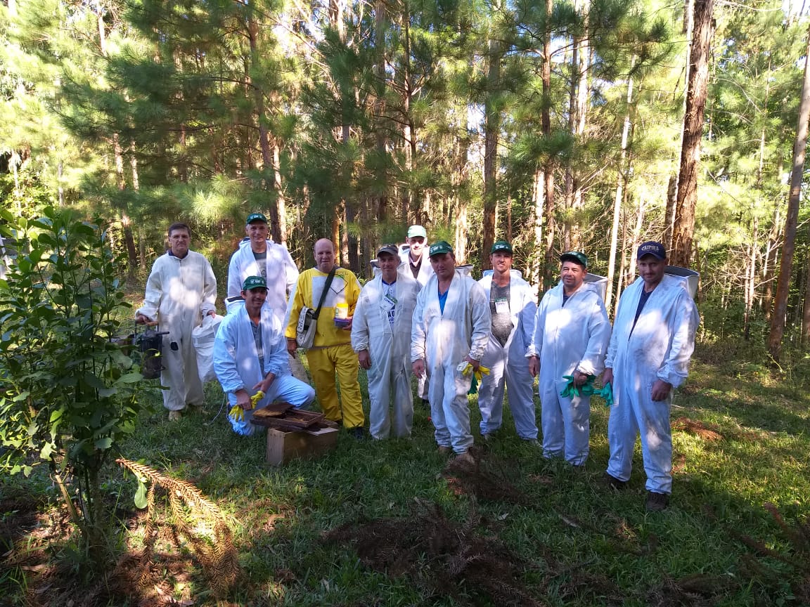 Universidades Estaduais impulsionam a produção de mel no Paraná