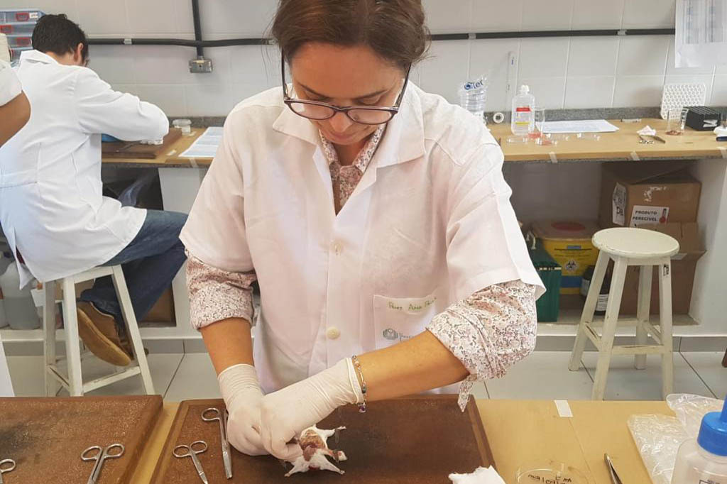 Ciência revolucionária: no Paraná, mulheres são maioria no sistema de ensino superior