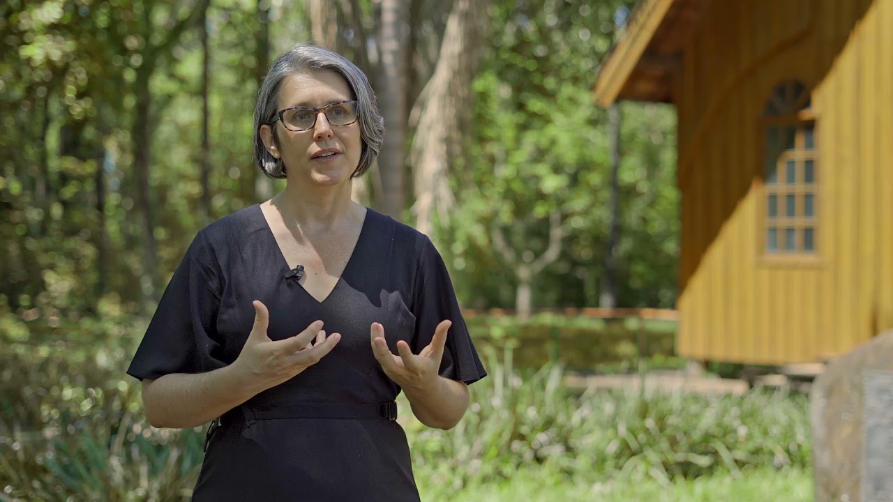 Ciência revolucionária: no Paraná, mulheres são maioria no sistema de ensino superior