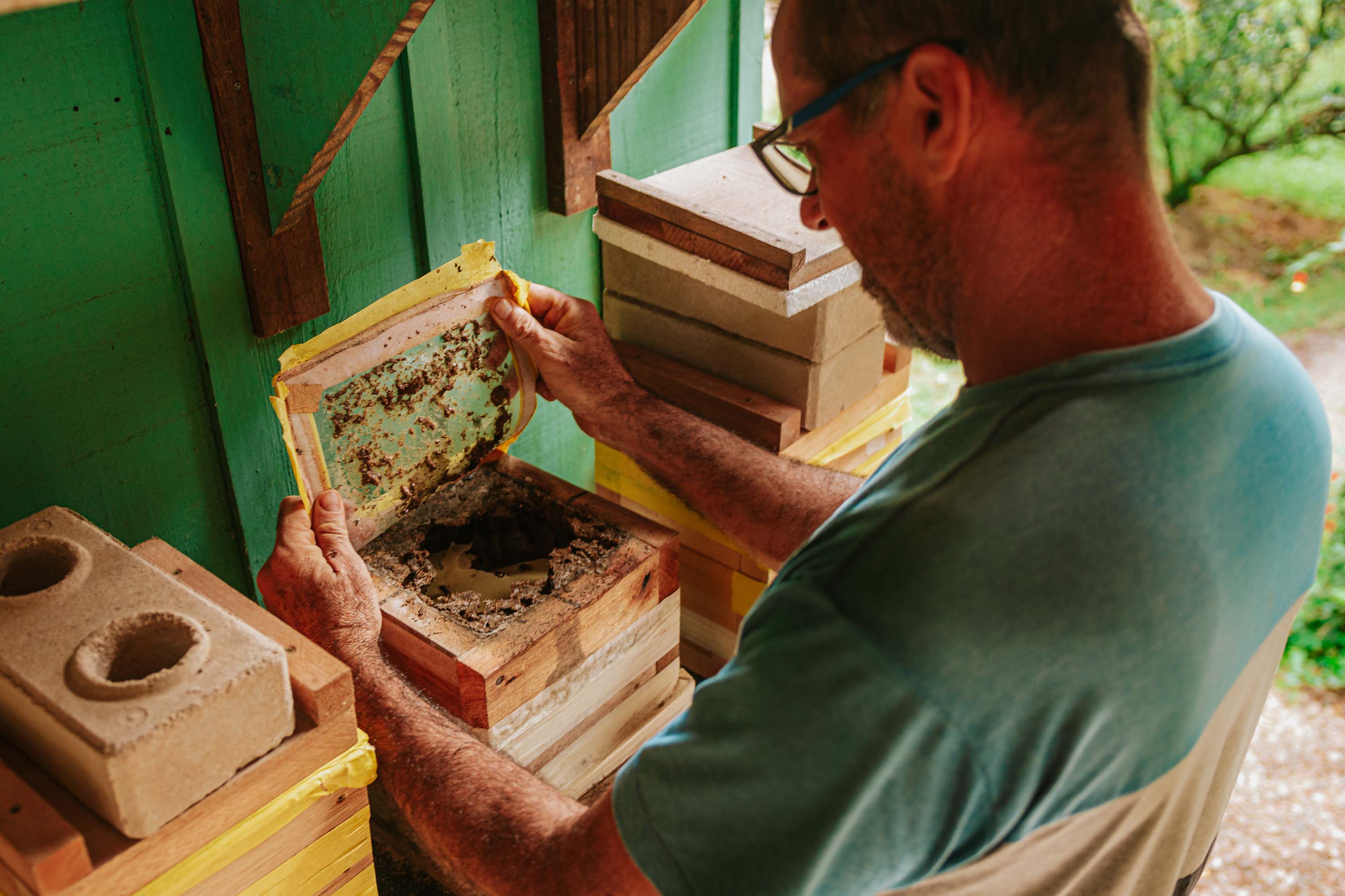 Com apoio do Estado, projeto que estimula produção de mel em Morretes completa um ano