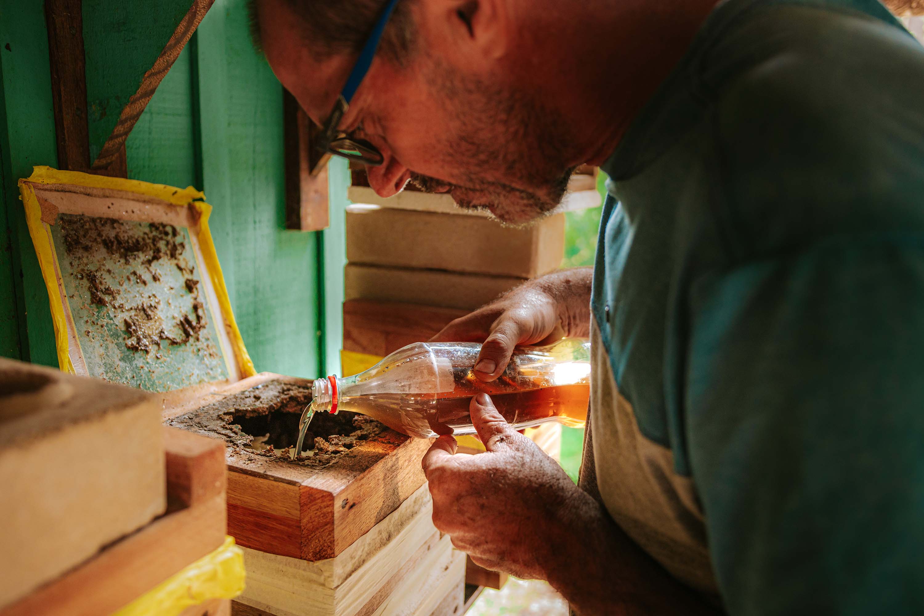 Com apoio do Estado, projeto que estimula produção de mel em Morretes completa um ano