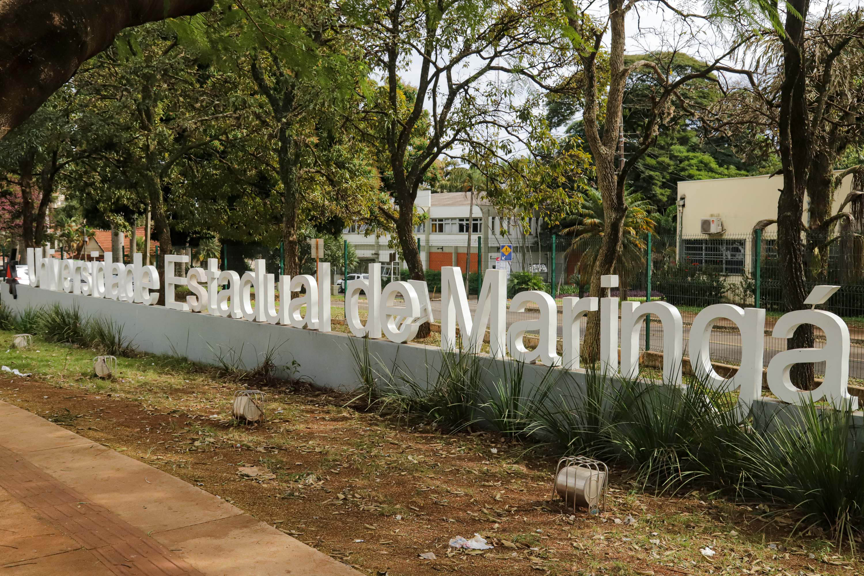 Universidade Estadual de Maringá realiza mostra de profissões em quatro cidades