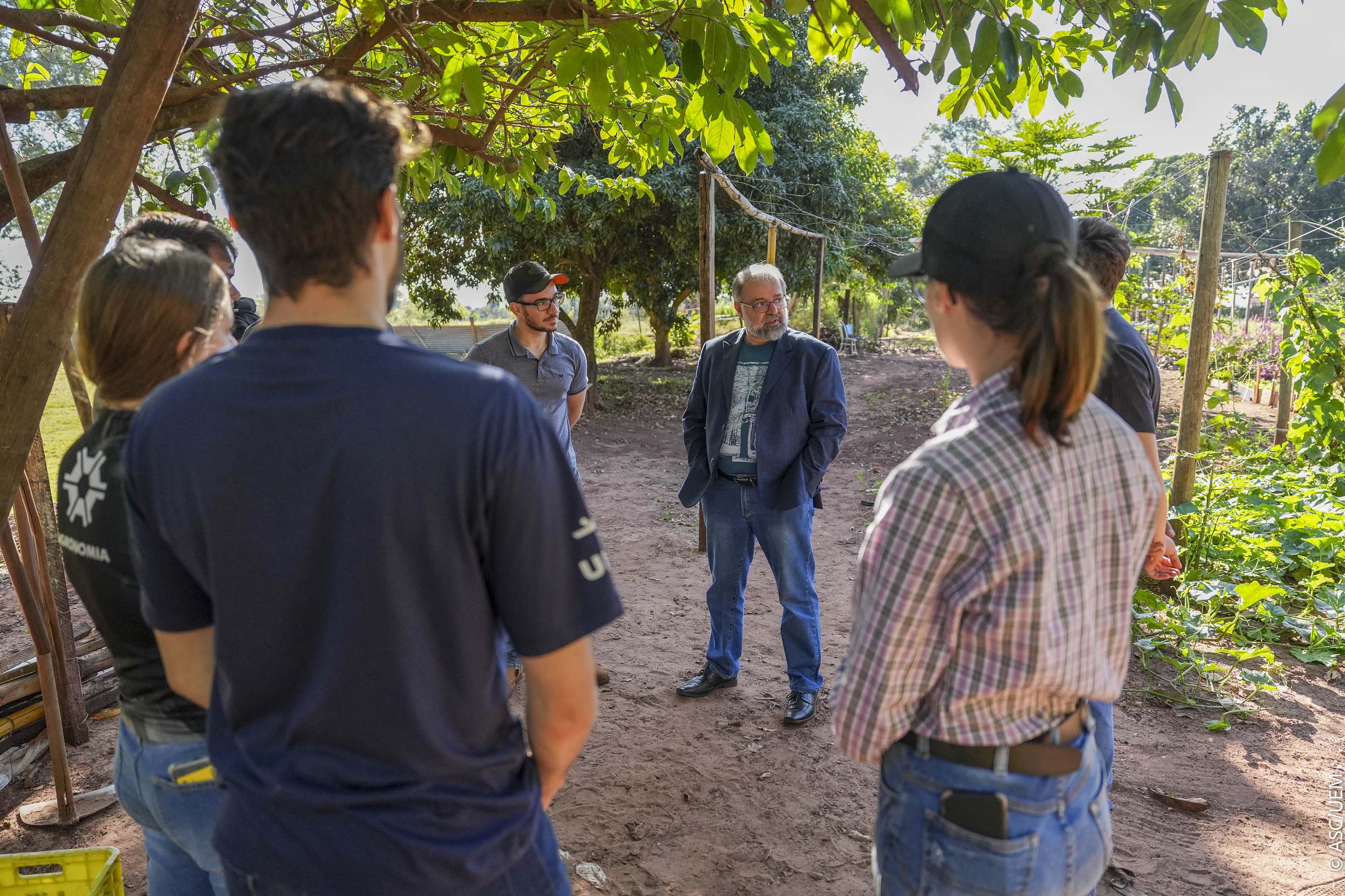 Projeto de extensão da UEM promove cultivo de alimentos para pessoas em recuperação