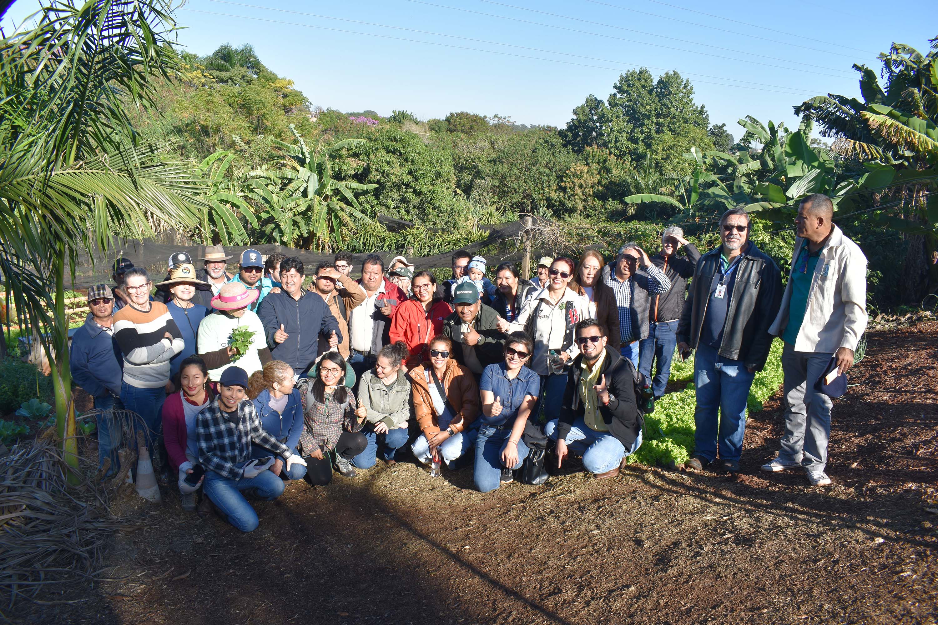 Horta comunitária sob linhas de alta tensão da Copel em Maringá recebe comitiva peruana