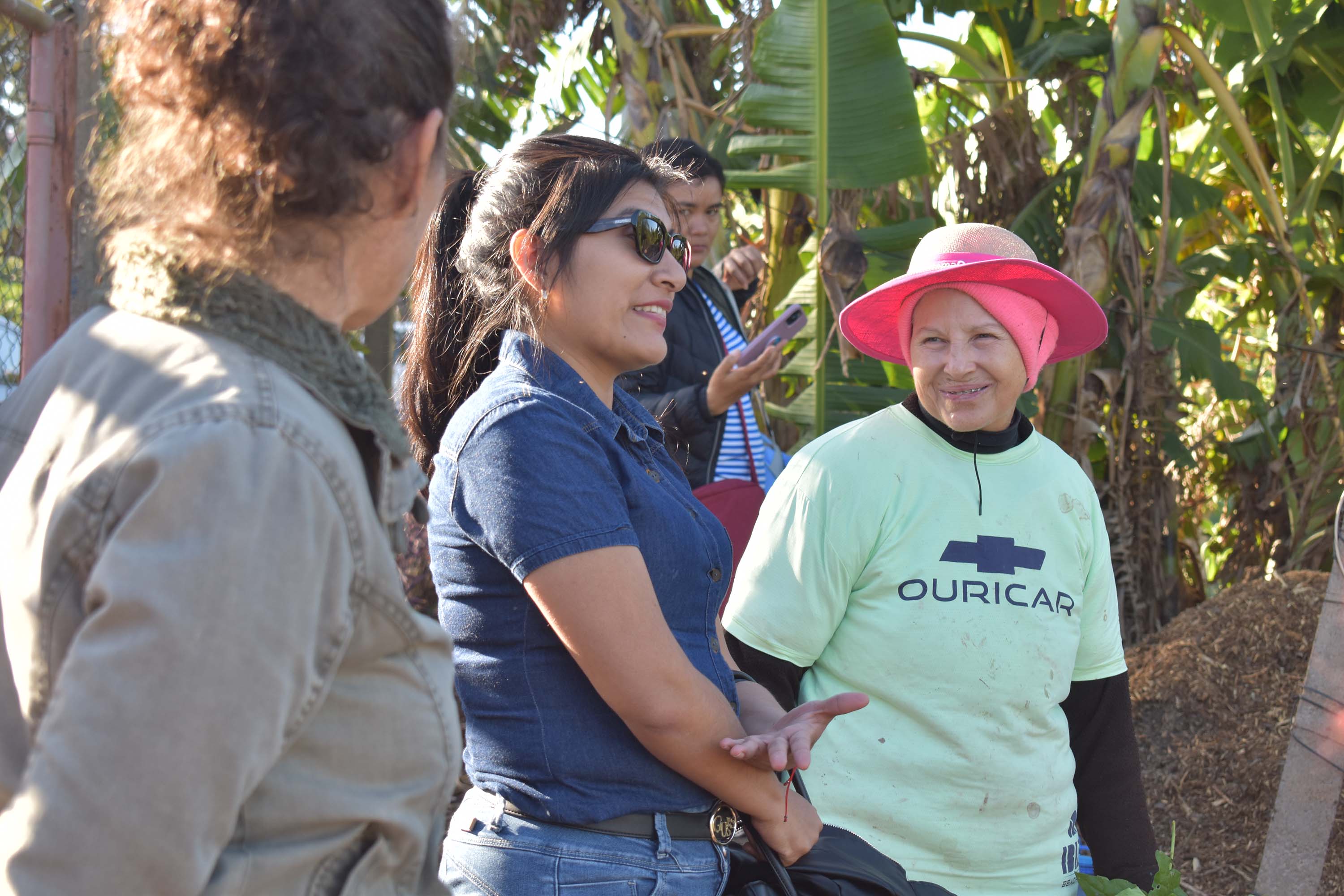 Horta comunitária sob linhas de alta tensão da Copel em Maringá recebe comitiva peruana
