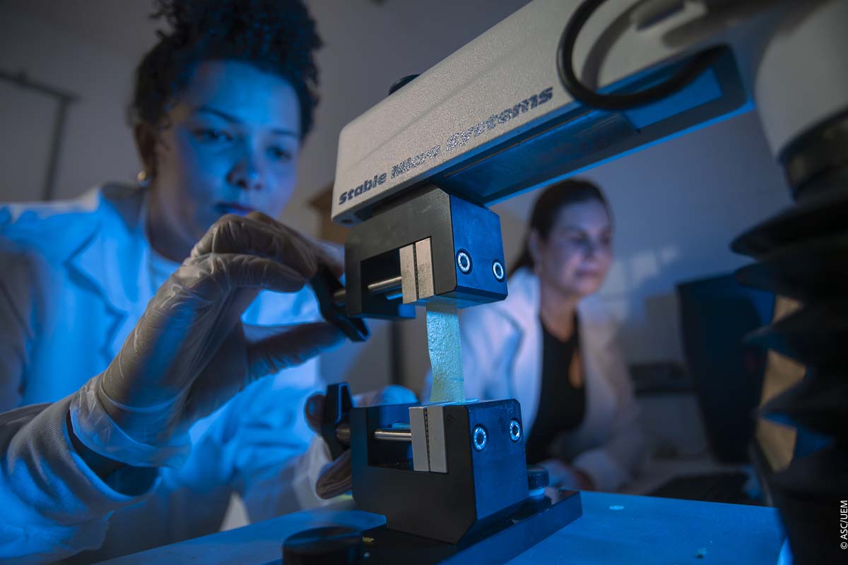 Pesquisadora da UEM transforma macaúba em embalagens biodegradáveis