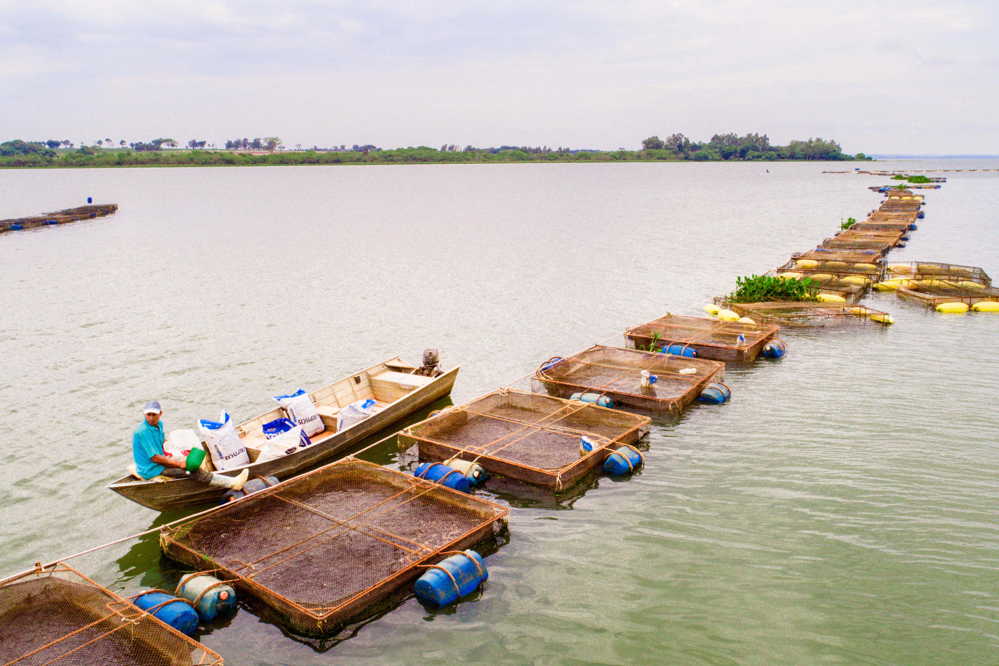 Perto de rio e áreas rurais, câmpus do Noroeste da UEM comemora 35 anos de pesquisas