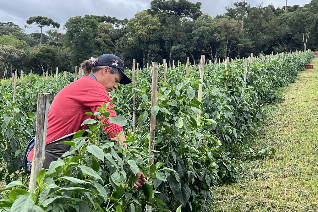 Jornada Empreendedora incentiva agricultura sustentável na região do Miringuava