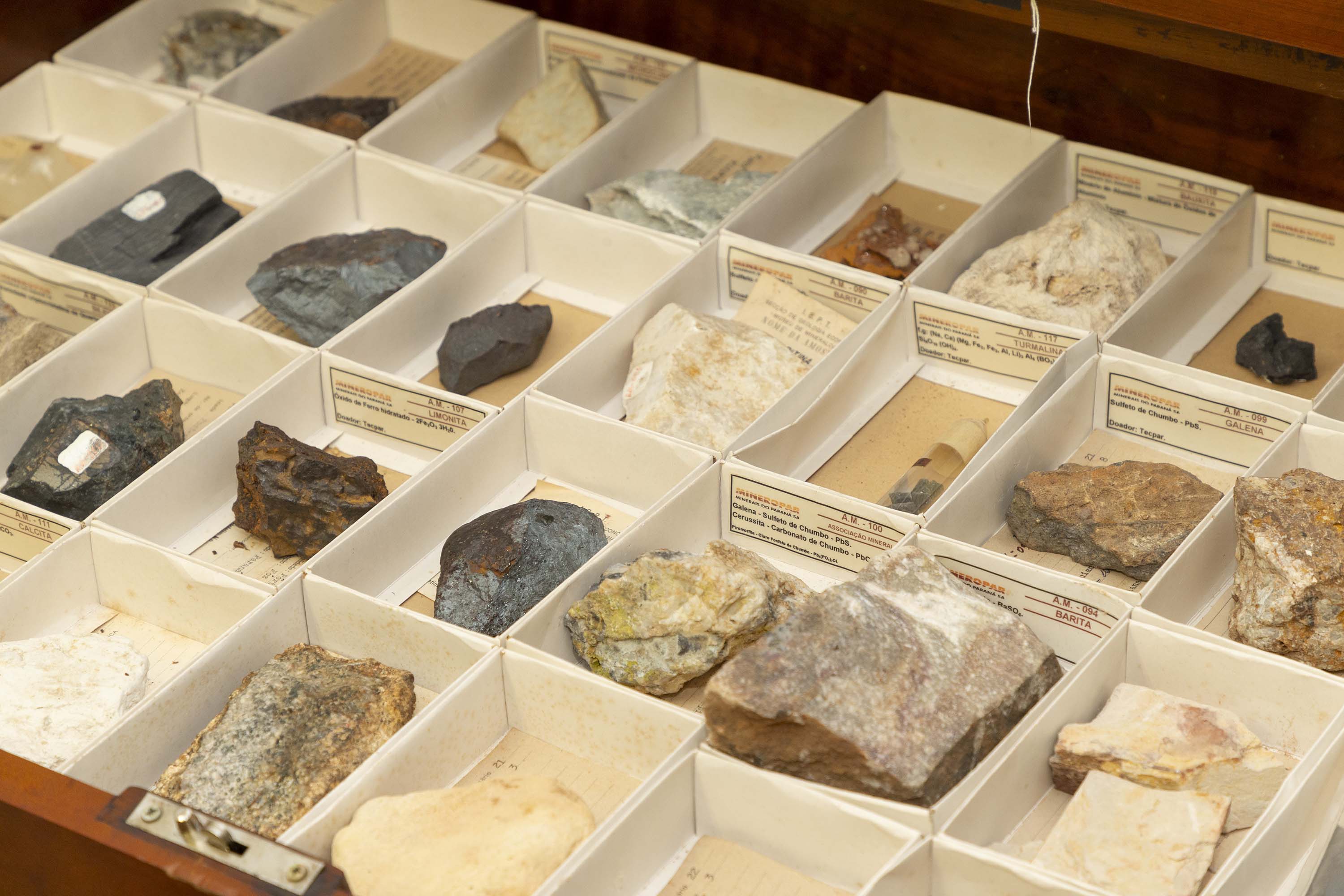 Acervo histórico do Tecpar é incorporado pelo Museu de Ciências Naturais da UEPG