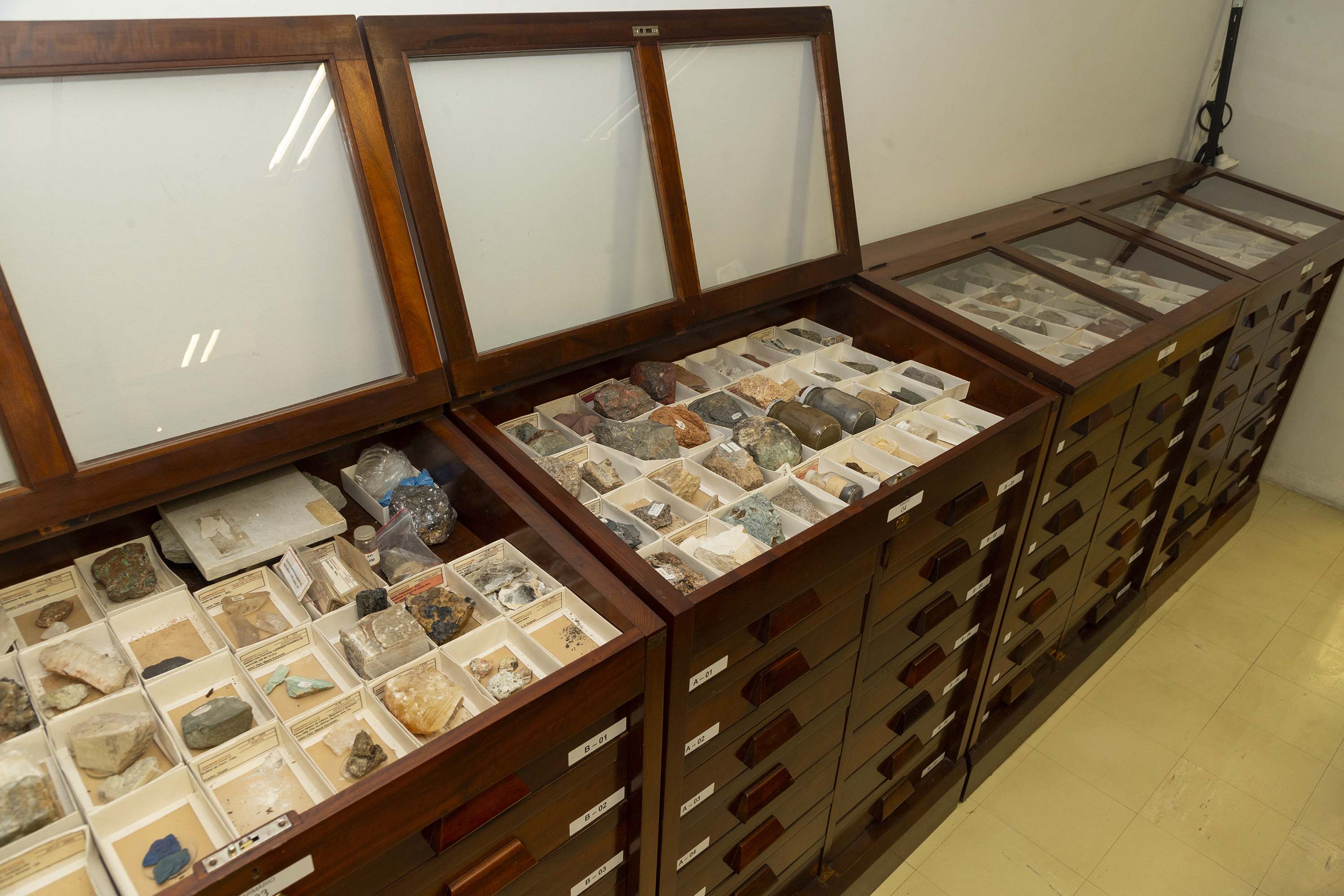 Acervo histórico do Tecpar é incorporado pelo Museu de Ciências Naturais da UEPG