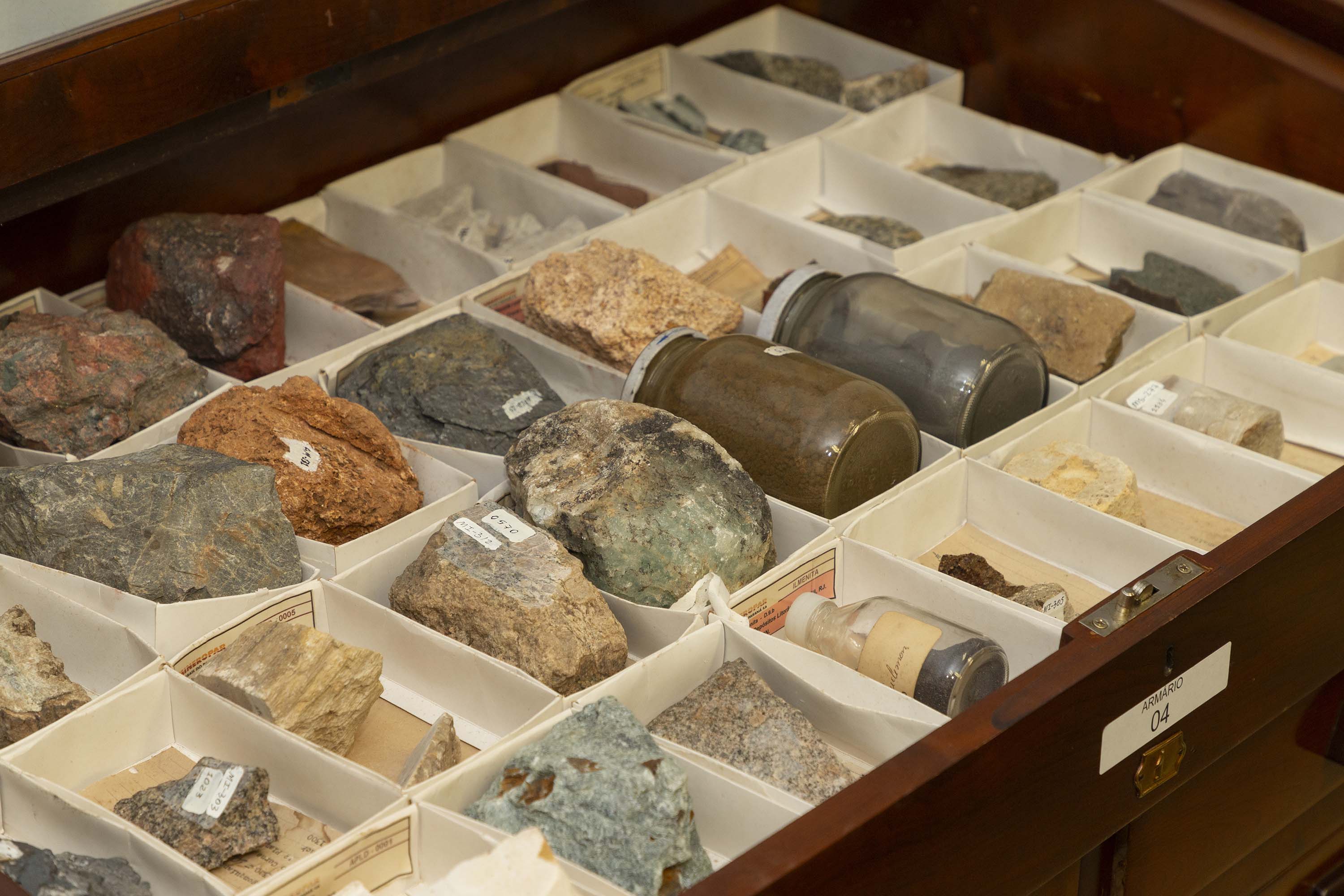 Acervo histórico do Tecpar é incorporado pelo Museu de Ciências Naturais da UEPG