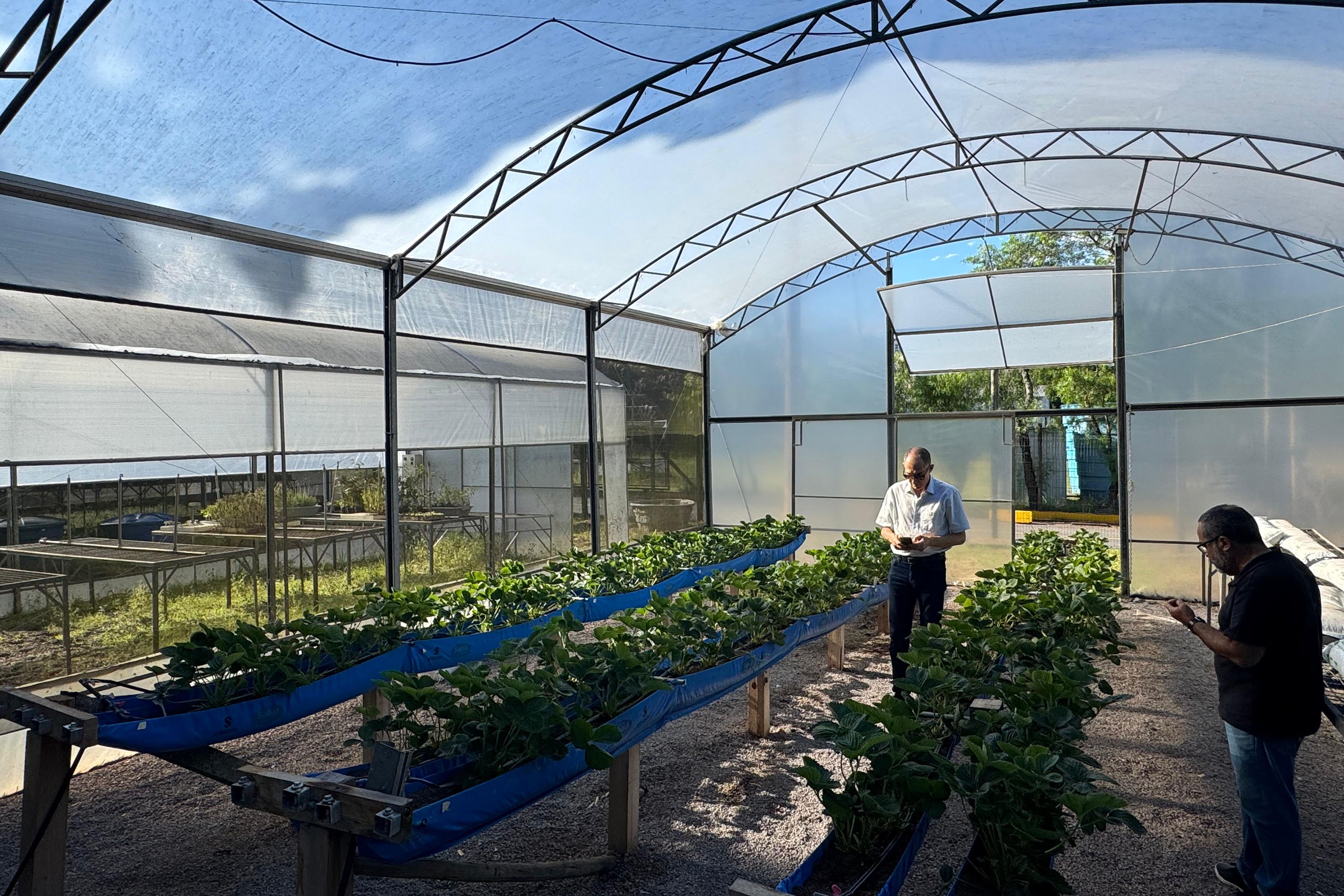 Com auxílio do Tecpar, Paraná terá nova tecnologia europeia para sistemas agrícolas