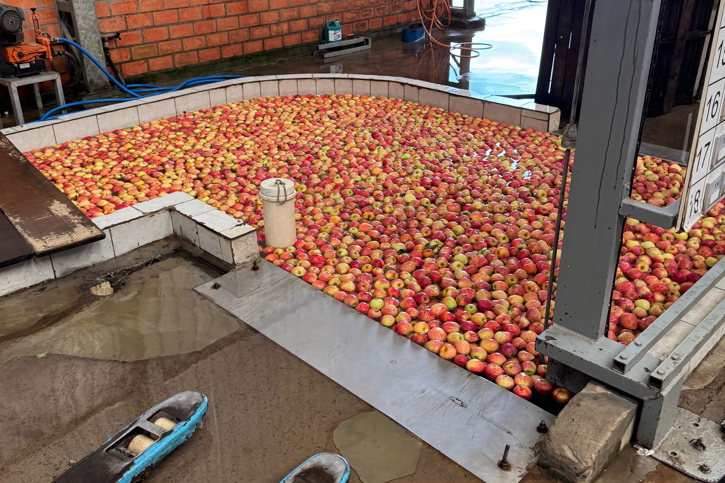 Com auxílio do Tecpar, Paraná terá nova tecnologia europeia para sistemas agrícolas