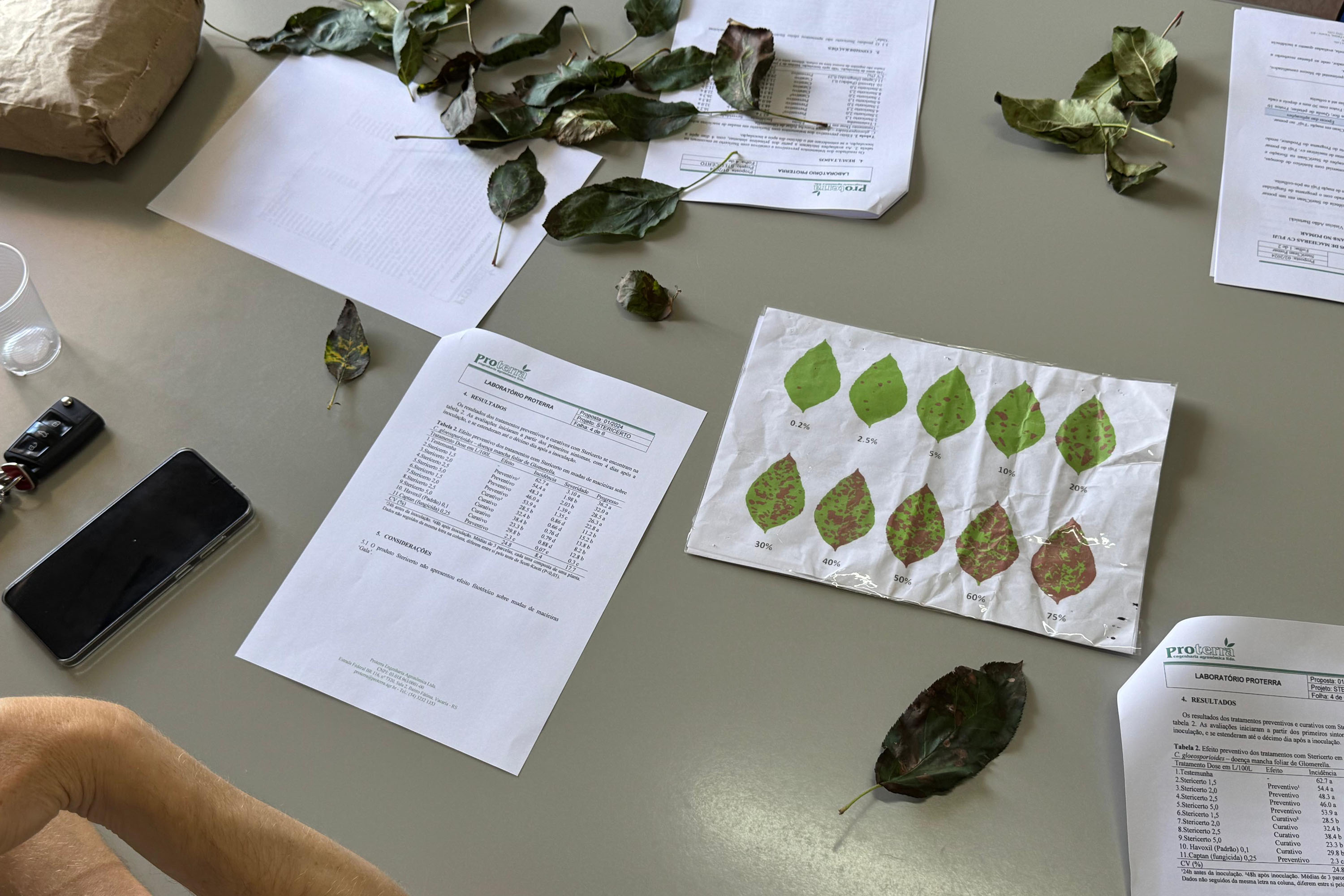 Com auxílio do Tecpar, Paraná terá nova tecnologia europeia para sistemas agrícolas