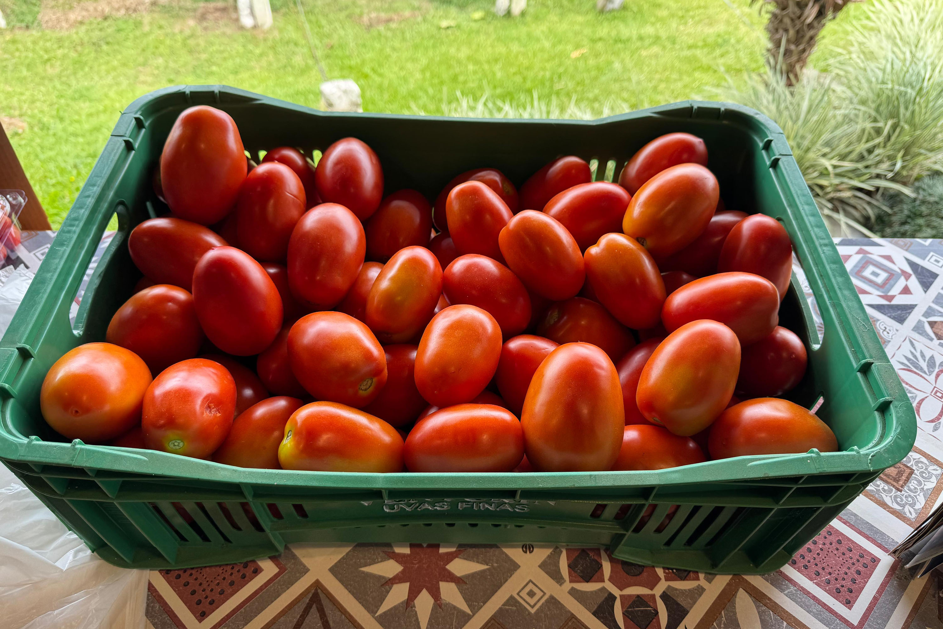 Com auxílio do Tecpar, Paraná terá nova tecnologia europeia para sistemas agrícolas