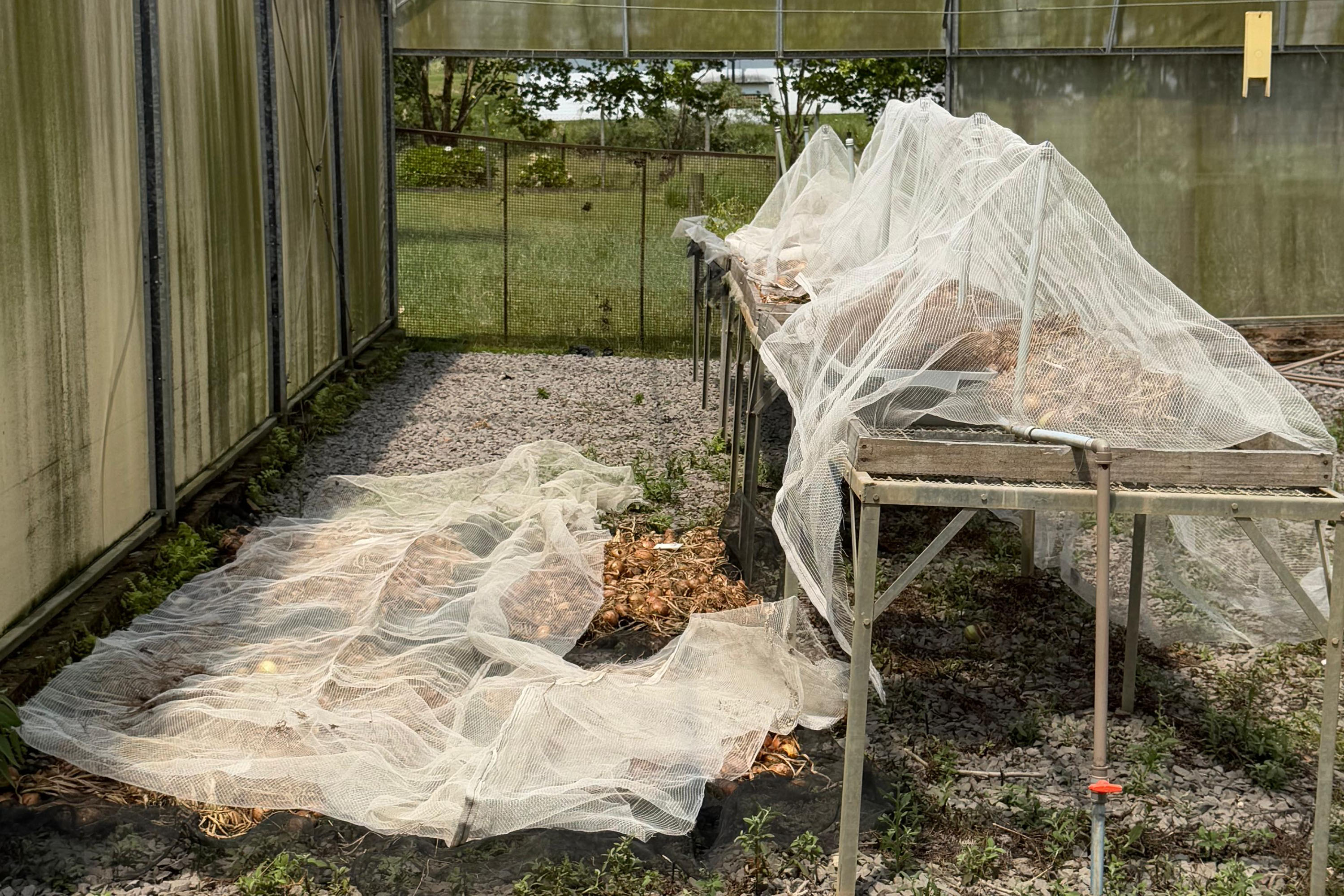 Com auxílio do Tecpar, Paraná terá nova tecnologia europeia para sistemas agrícolas