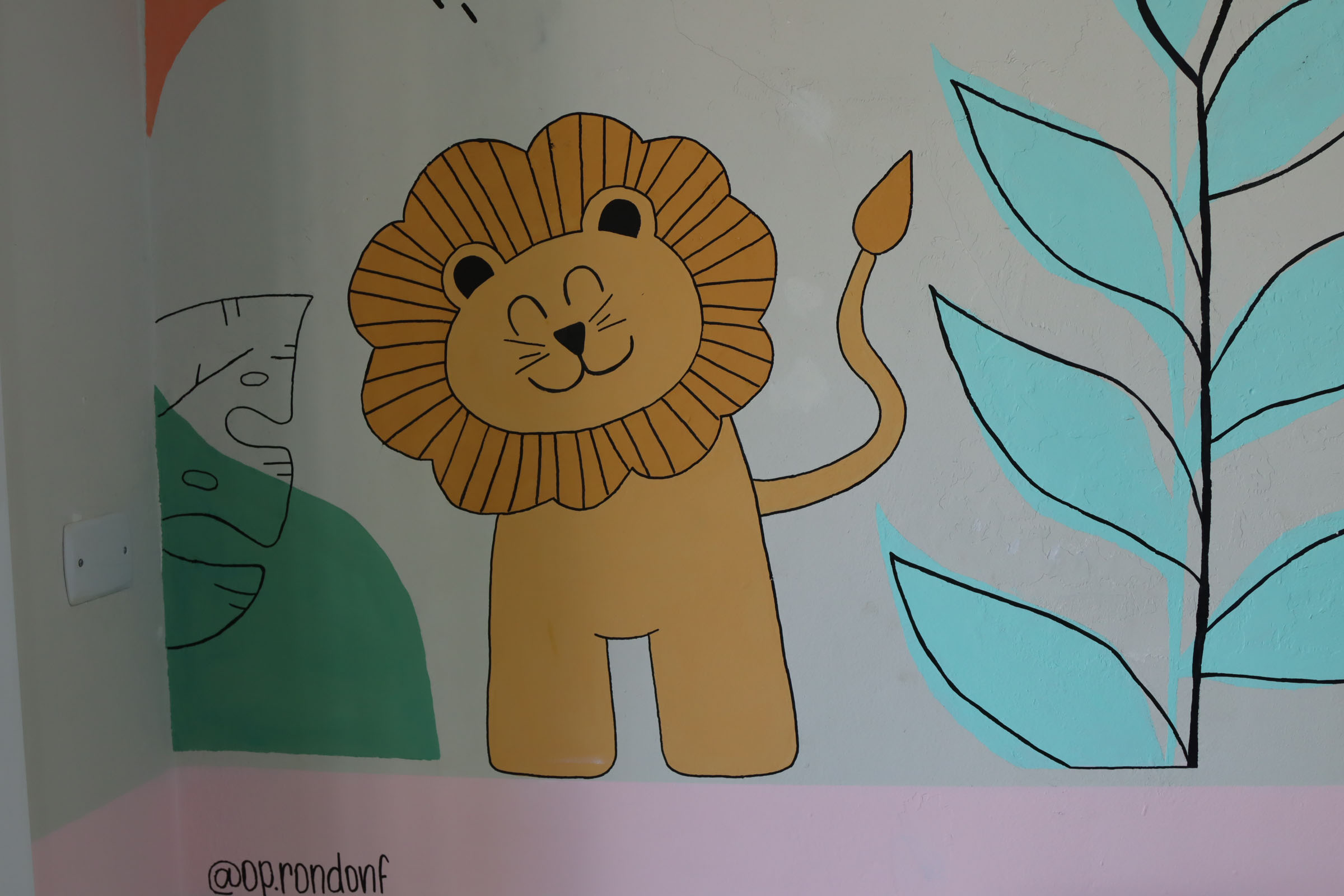 Oficinas de plantas medicinais, saúde e gastronomia marcam ações da Operação Rondon