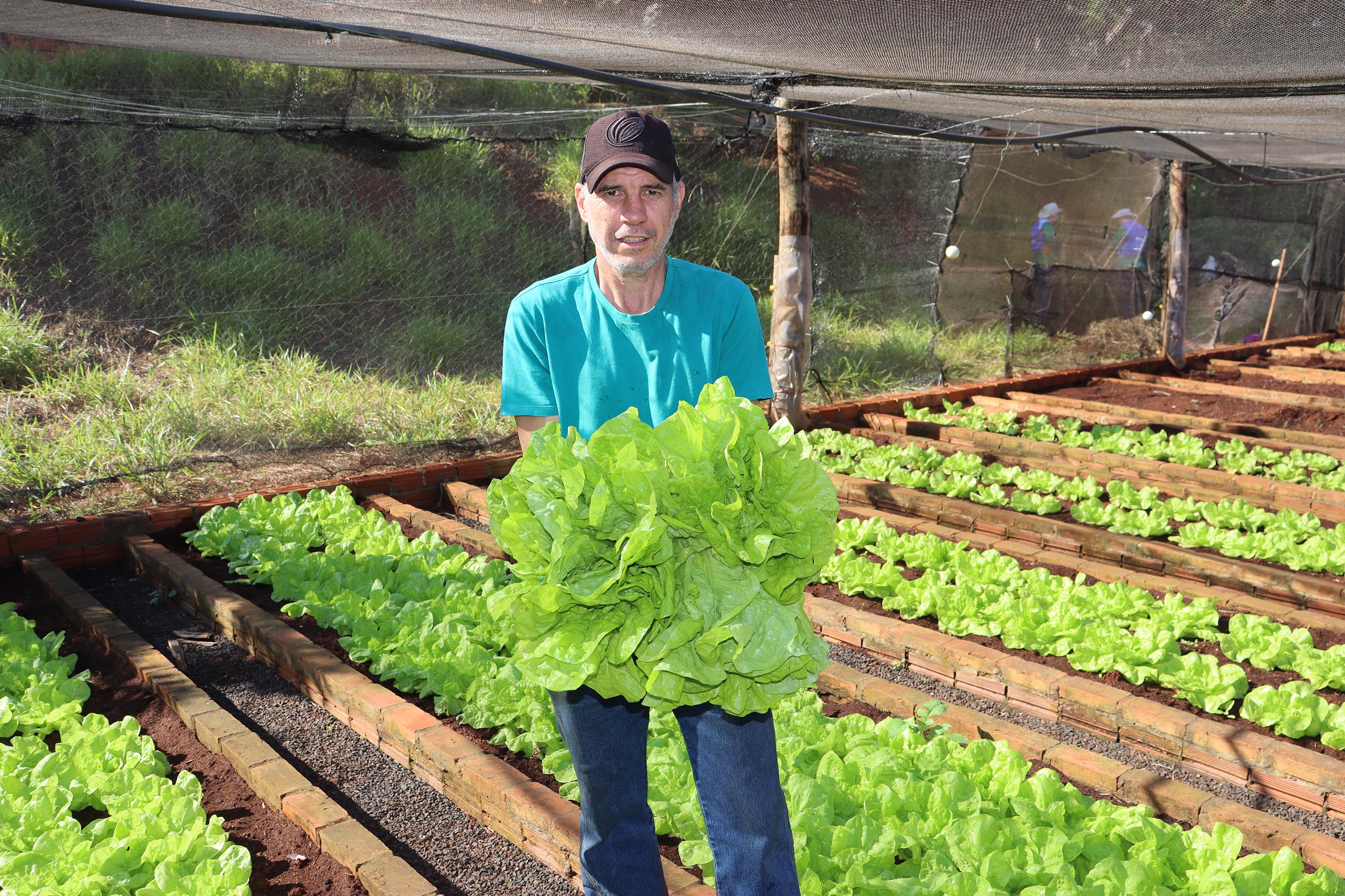Oficinas da Operação Rondon Paraná 2025 já estão em andamento no Norte Pioneiro