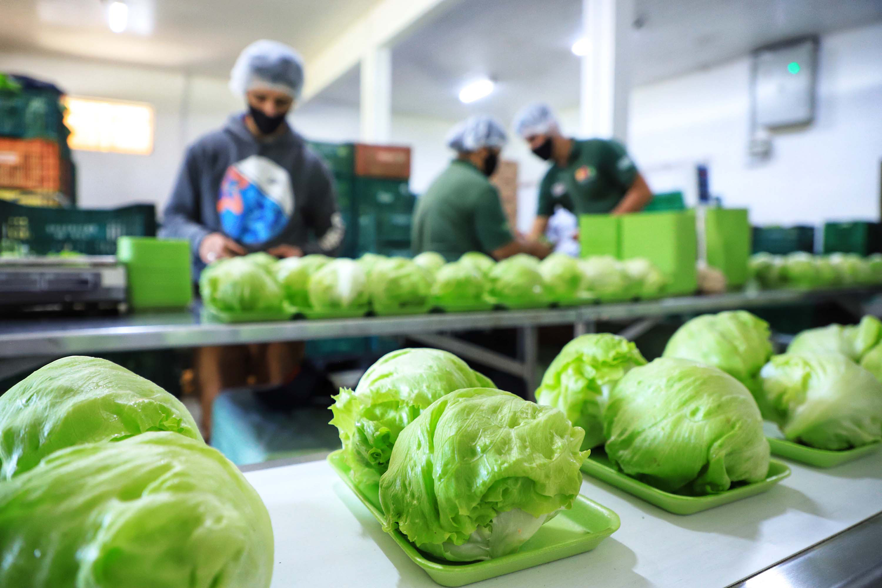 Paraná amplia vantagem como maior produtor de orgânicos do país