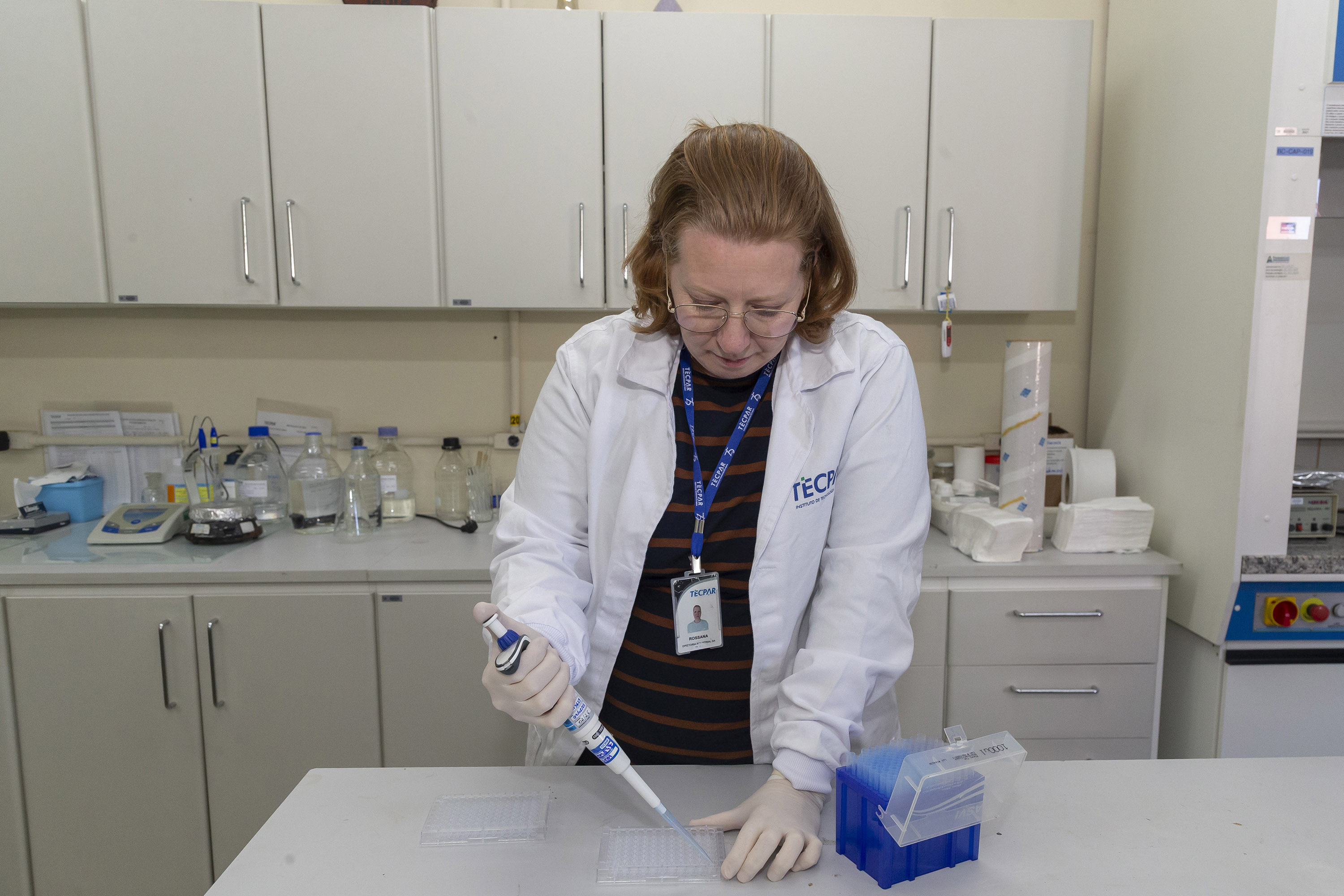 Tecpar inicia pesquisa para desenvolver kit de diagnóstico de doença bovina