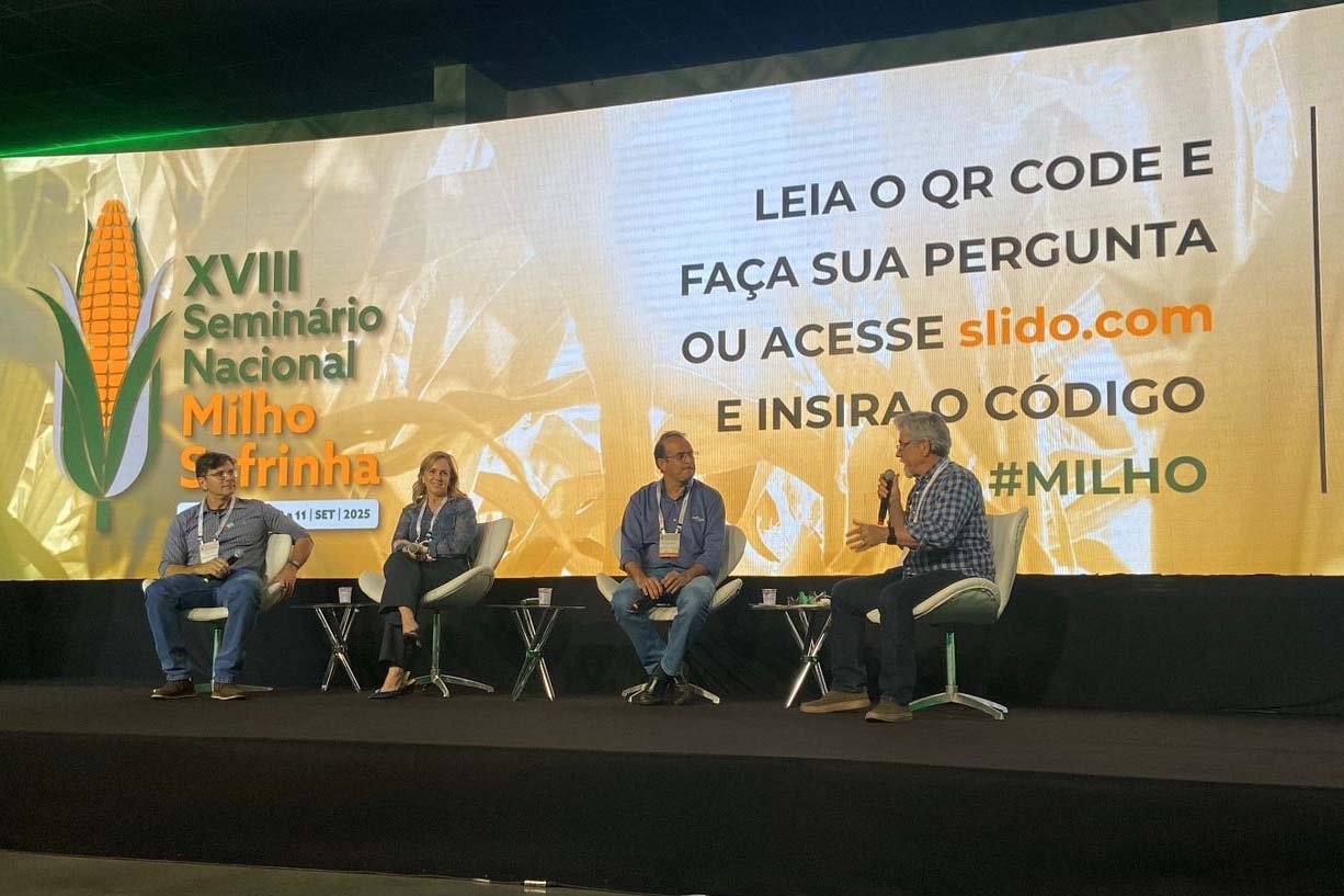 Seminário: IDR-PR apresenta caminhos para aumento da produção sustentável do milho