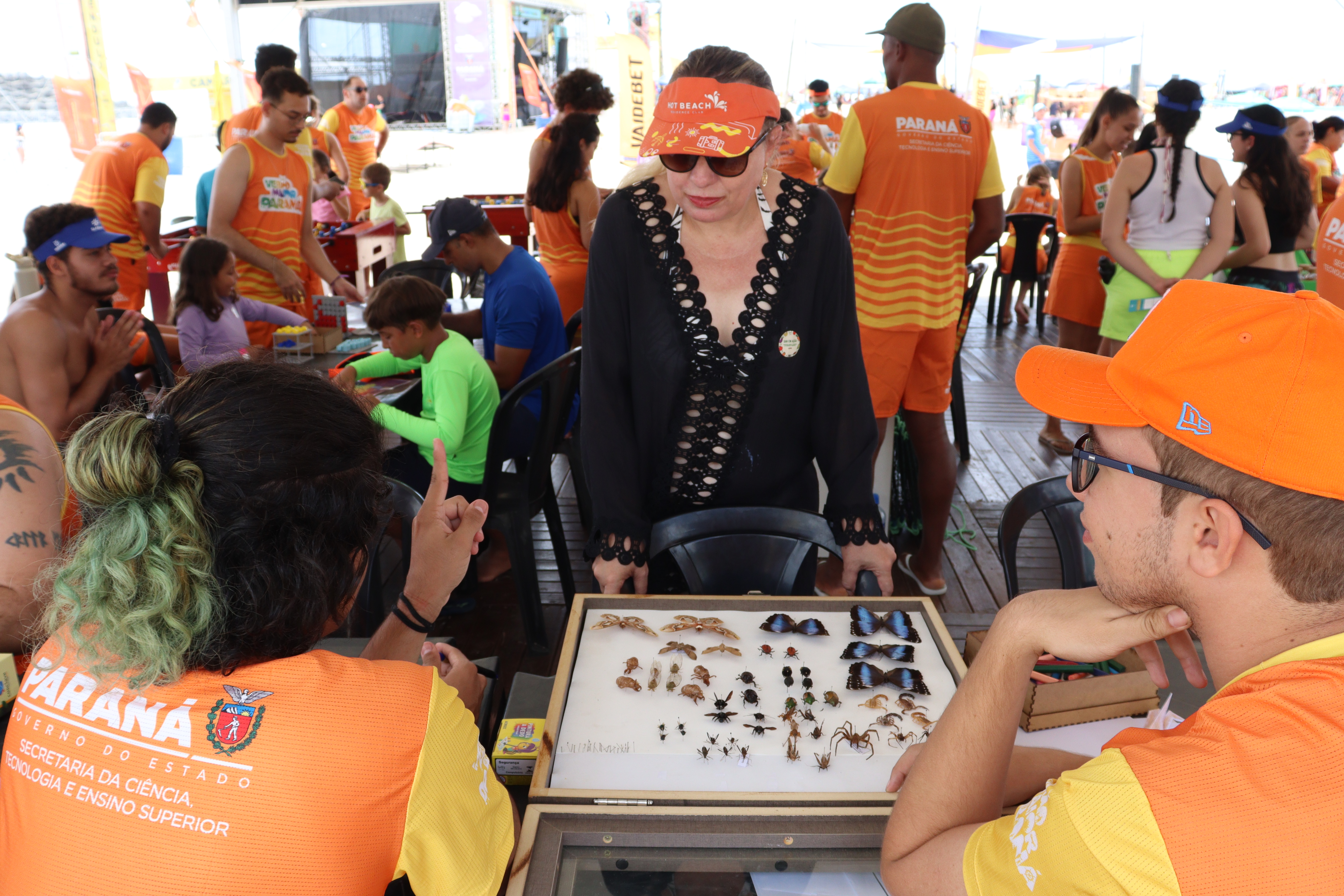 Universidades expandem atuação e alcançam 20 mil atendimentos no Verão Maior