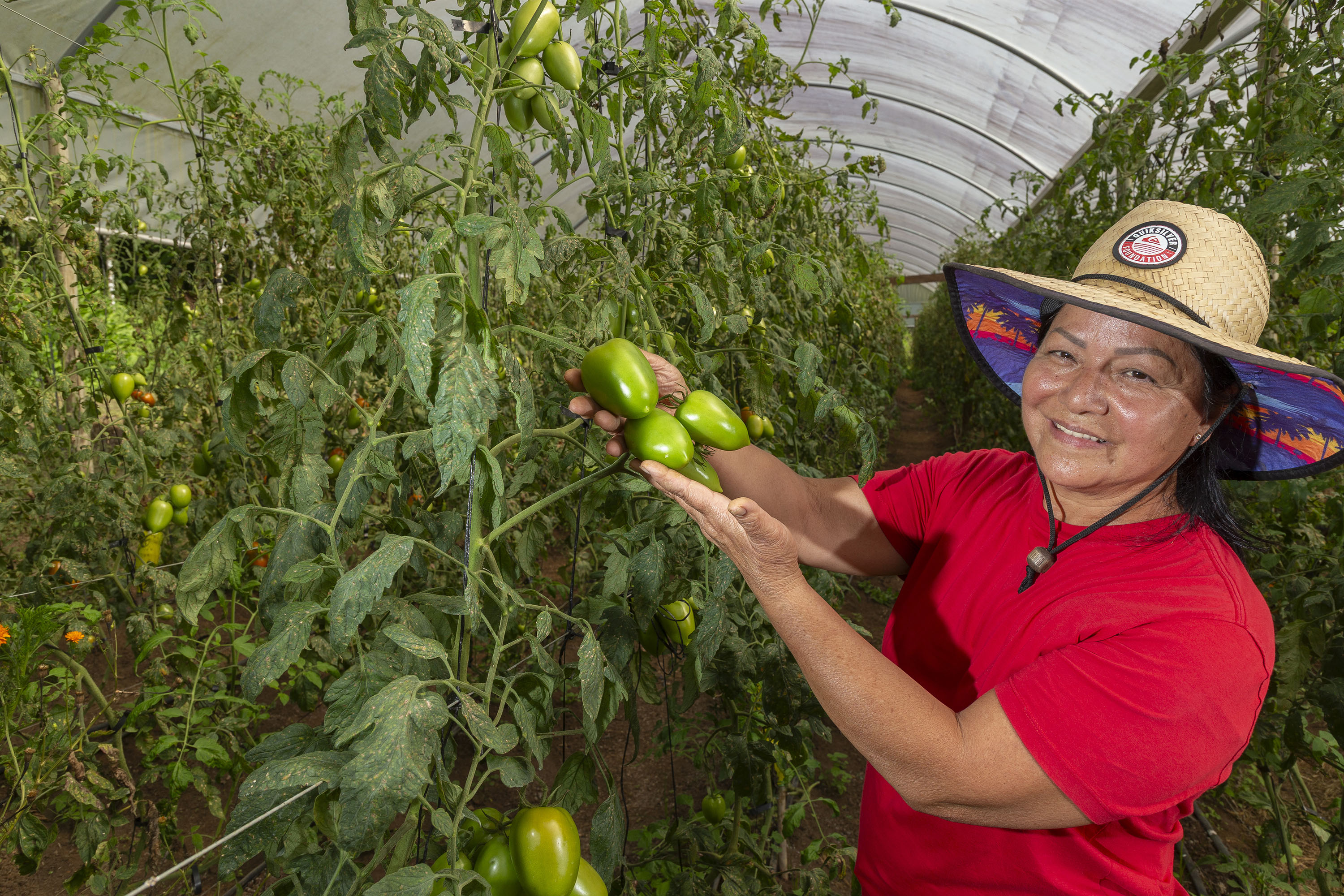 Liderança nacional do Paraná na produção de orgânicos tem certificação do Tecpar