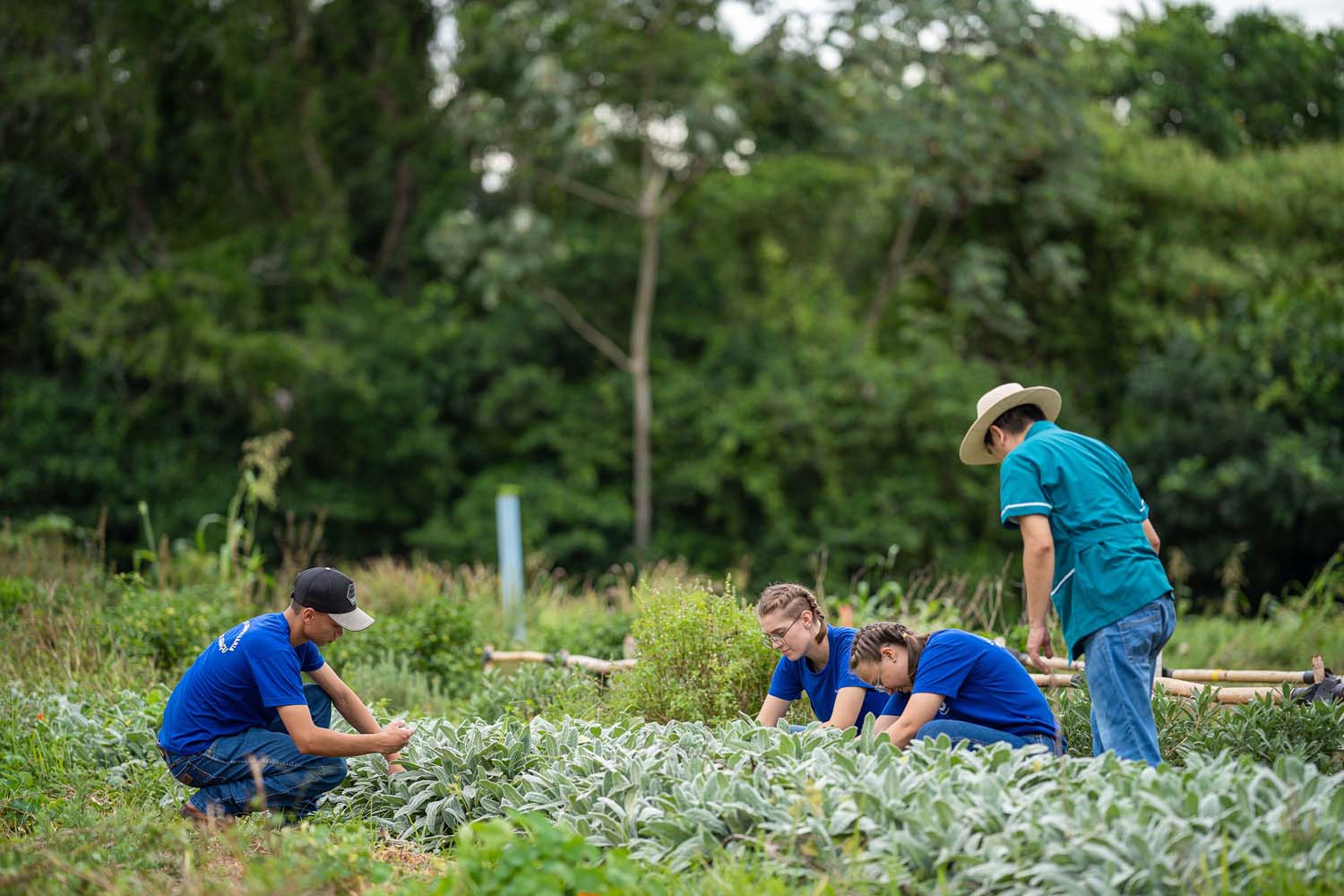 Programa que aproxima colégios agrícolas de universidades vai receber R$ 3,4 milhões