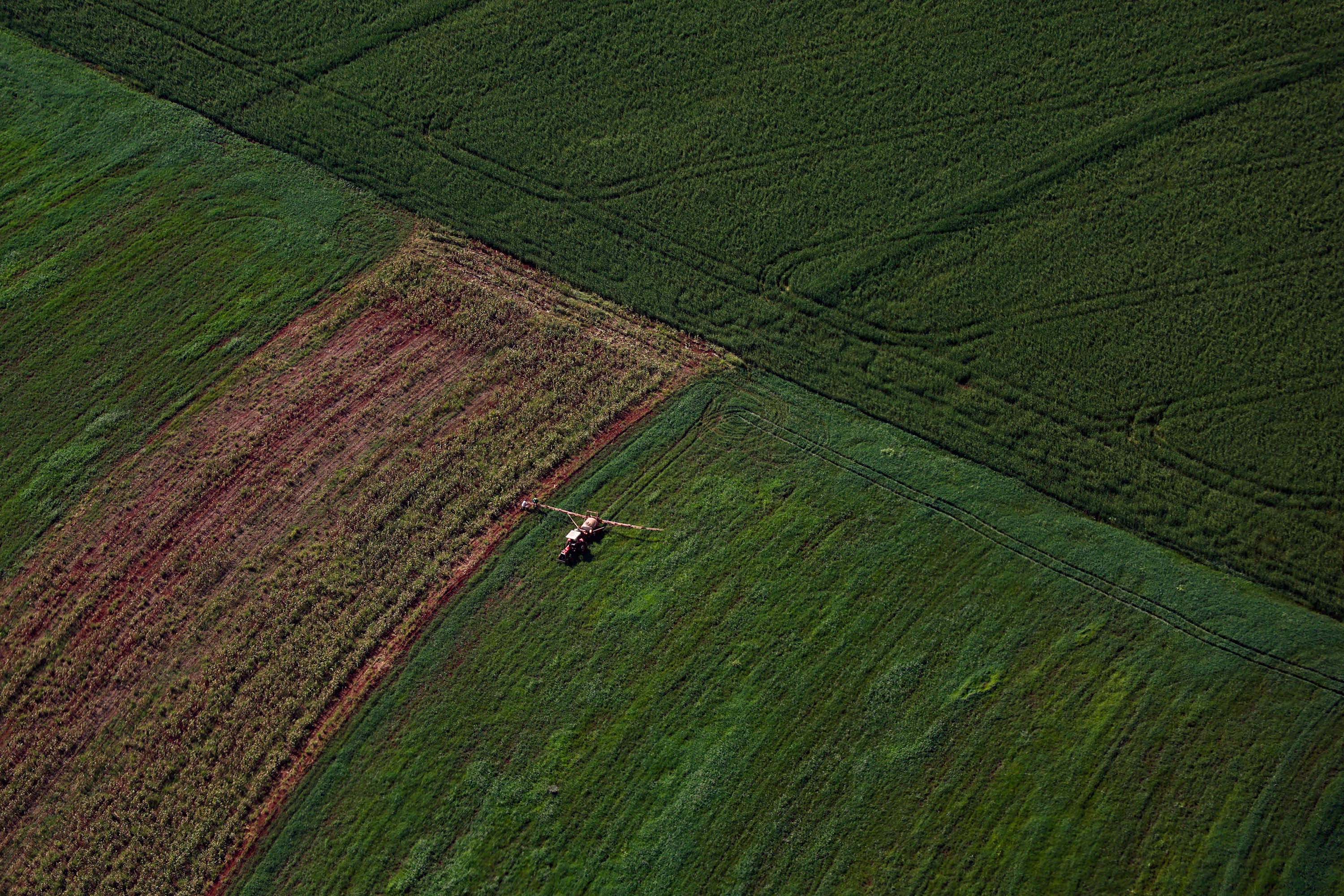Webinar orienta empresas sobre como participar do programa Nexus de inovação no agro