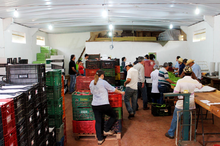 Certificação Paranaense de Produtos Orgânicos - CPPO