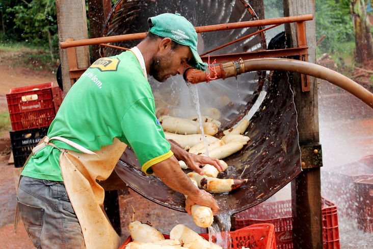 Certificação Paranaense de Produtos Orgânicos - CPPO