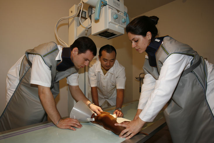 Hospital Veterinário UEM