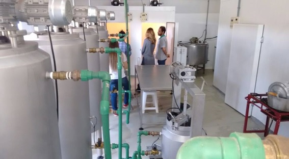 usf uenp