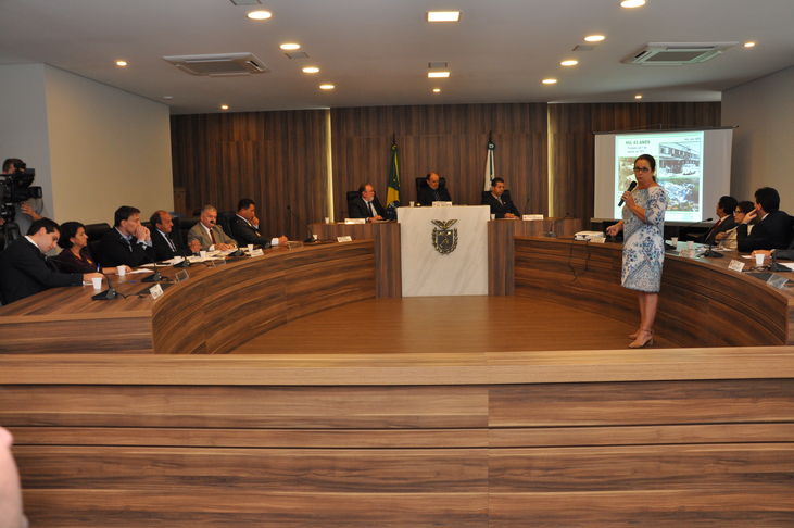 Reunião HU ALEP