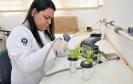 Mestranda do Programa de Pós-graduação em Agronomia, Ana Cristina Preisler, teve artigo científico sobre a pesquisa publicado na revista Pest Management Science