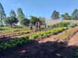 Projeto de Capacitação em Horticultura da UEM