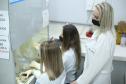 Pesquisa da Unioeste produz nanopartículas com bioativos de plantas brasileiras