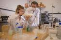 Laboratório Nacional de Luz Síncrotron (LNLS)