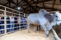 Governador conhece projeto de alimentação do futuro desenvolvido em Londrina