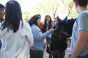Primeira Feira de Profissões da UENP reúne mais de 3 mil estudantes