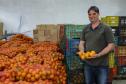 Líder nacional em alimentos orgânicos, Paraná investe para ampliar produção e consumo