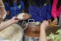 Líder nacional em alimentos orgânicos, Paraná investe para ampliar produção e consumo